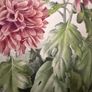 Original watercolour by Elizabeth A. McEwen RUA (1937- 2020), Belfast botanical artist. Image 2