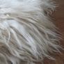 Large Sheepskin Rug Image 10