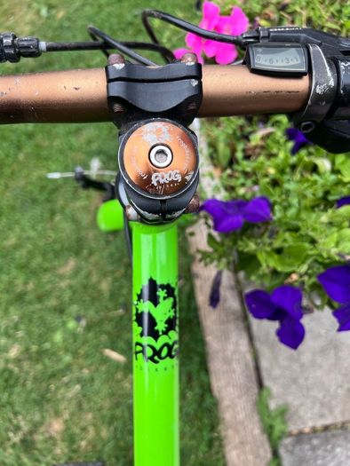 Frog 55 hybrid kids bike