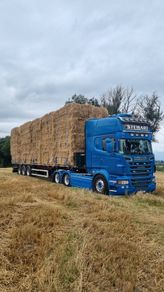 Straw , barley & weaten