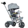 baby trike Image 5