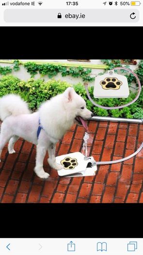 Brand New Doggie Fountain