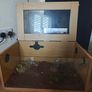 Reptile tanks (Gecko) Image 2