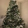 Christmas Tree Image 2