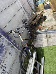 bicycle
