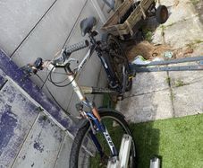 bicycle