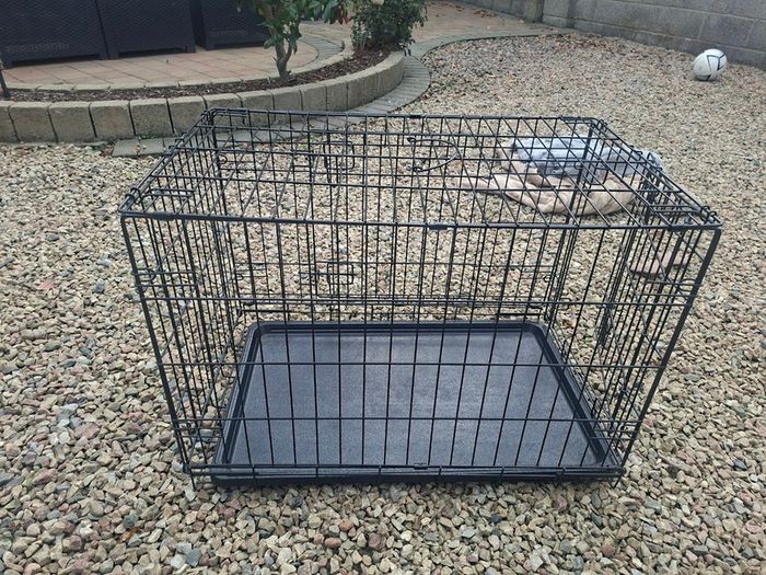 Medium Dog Cage