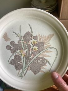 Arklow Wicklow pattern plates