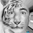 Jason D