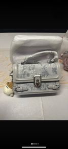 mini handbag