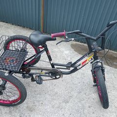 20 inch trike