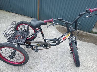 20 inch trike