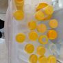 Breastfeeding / Expressing Storage Containers Image 5