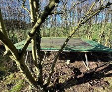 Large Trampoline 3.4 x 2.6m (Free)