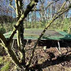 Large Trampoline 3.4 x 2.6m (Free)