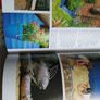 Great Gardens for Kids/Clare Matthews Image 7