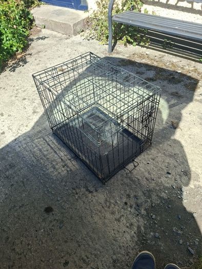 dog cage