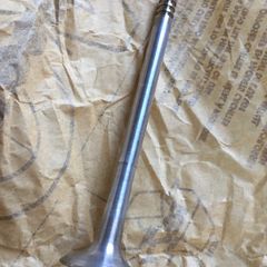 Exhaust Valve (Fiat  Alfa Romeo)