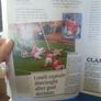 GAA Scrapbook of Regrets book Image 10
