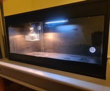Reptile tank