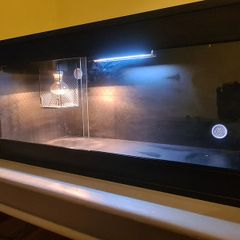Reptile tank