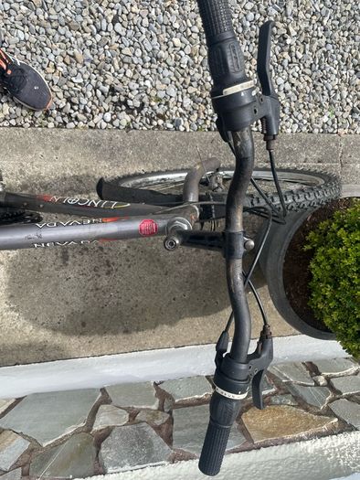 mountain bike adult size