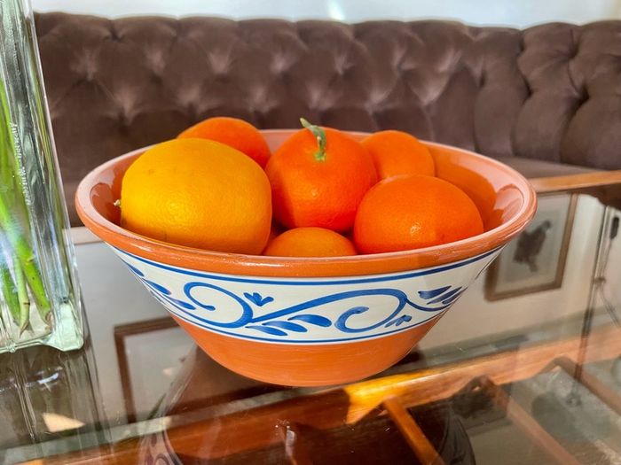 Hand Painted Large Terra Cotta Blue and White Bowl for Salad Pasta Fruits