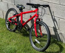 Frog 55 Kids Mountain Bike