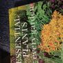 Essential plants for Every Garden Image 3