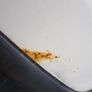 Campervan/panal van Image 8