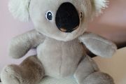 Koala Bear Teddy Plush Soft Toy