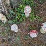 Fairy garden cement ornaments Image 2