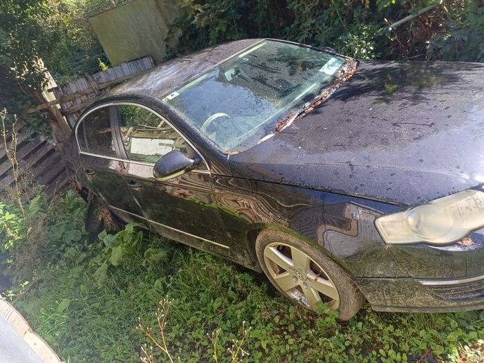 passat for breaking