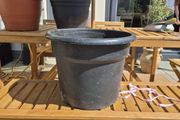 garden pot