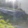 19ft Foot 'sullivans wide beam boat Image 4