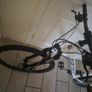 bike Image 5