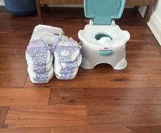 Fisher Price Potty and Huggies Pull Ups