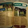 Sires For '92: The Stallion Directory Image 5