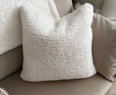 Cushion