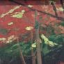 Woodland Stream Image 4