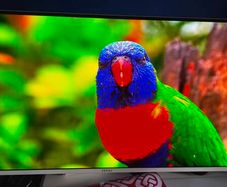 Msi 32 Inch Qd-oled / 4k 240hz