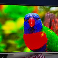 Msi 32 Inch Qd-oled / 4k 240hz