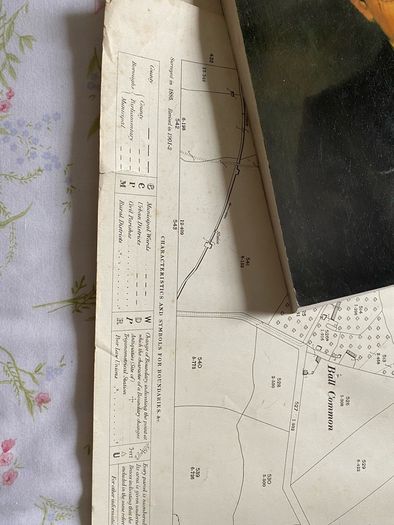 maps  have a set of early 20th-century Ordnance Survey (OS) County Series maps for Somerset, England 1903