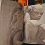 Sleepwalkers. The Dublin City Gallery.  The Hugh Lane. Large Volume Paperback.  In Good Condition.  See Photos For Same Image 4