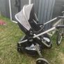 buggie Image 3