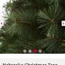Christmas tree Image 3
