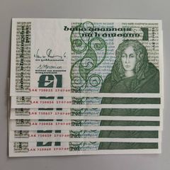 1 Punt Pound Ireland 1989 Queen Medb Banknote