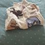 pjs Image 3