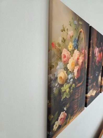 3 framed printed canvas 35x55cm each photo