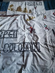 Winter theme (Aspen skiing) single duvet cover and pillow csse